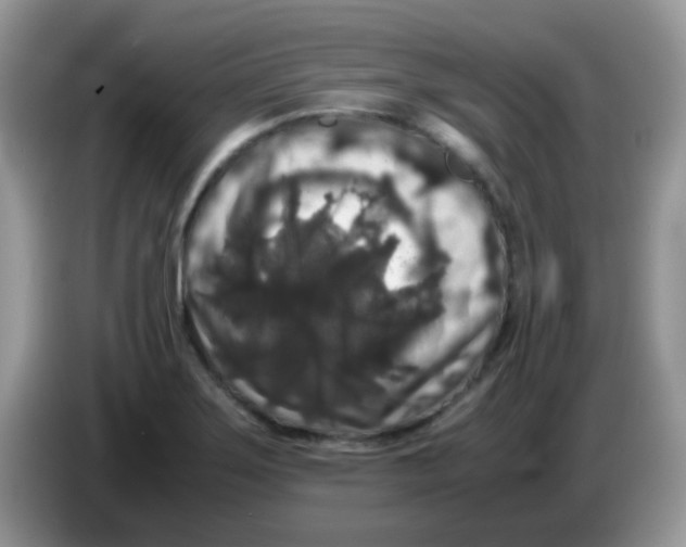 X0000086261275200704261948