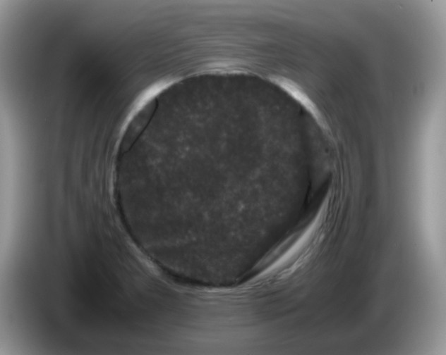 X0000086261277200704261948