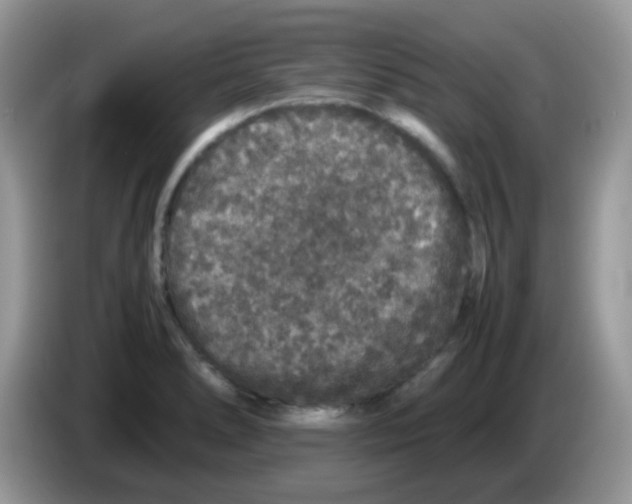 X0000086261278200704261948