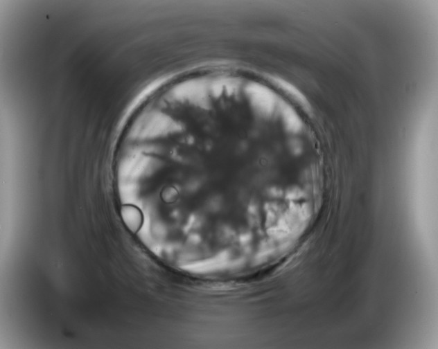 X0000086261279200704261948