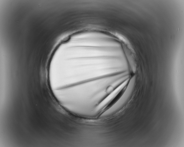 X0000086261280200704261948