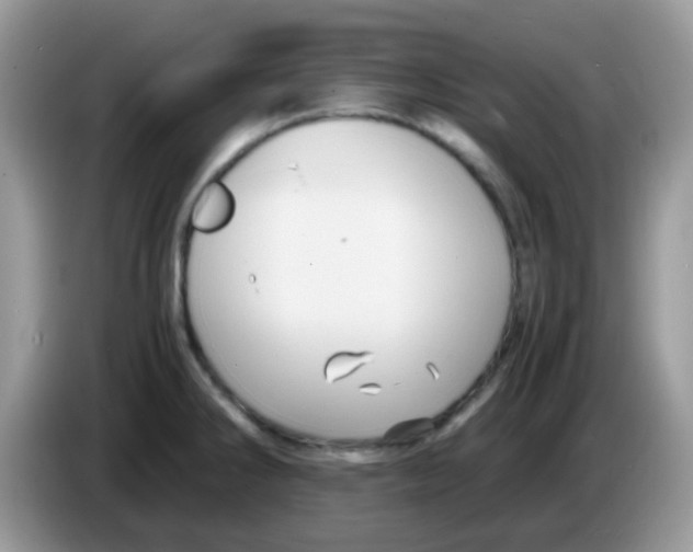 X0000086261286200704261948