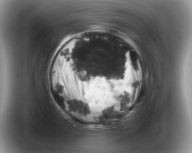 X0000086261291200704261948