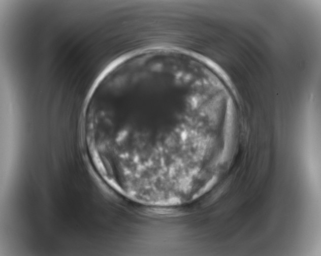 X0000086261295200704261948