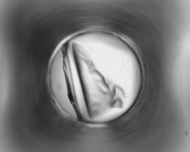 X0000086261296200704261948