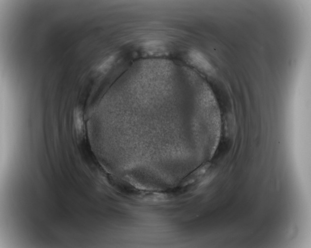 X0000086261298200704261948
