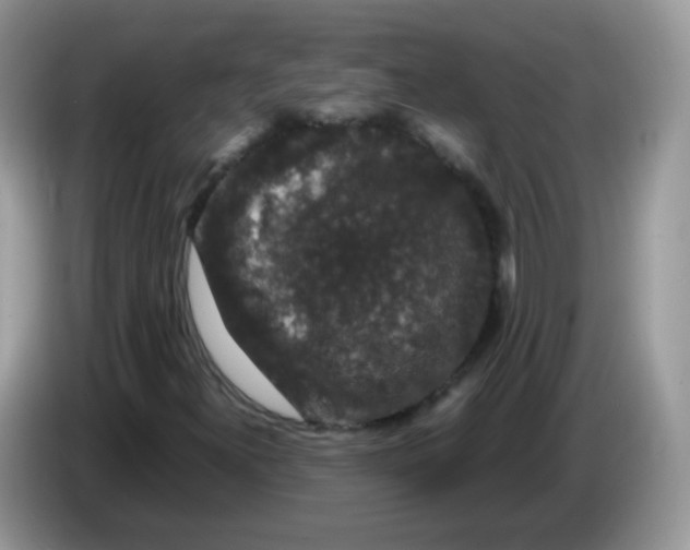 X0000086261300200704261948