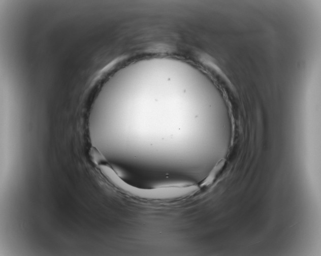 X0000086261304200704261948