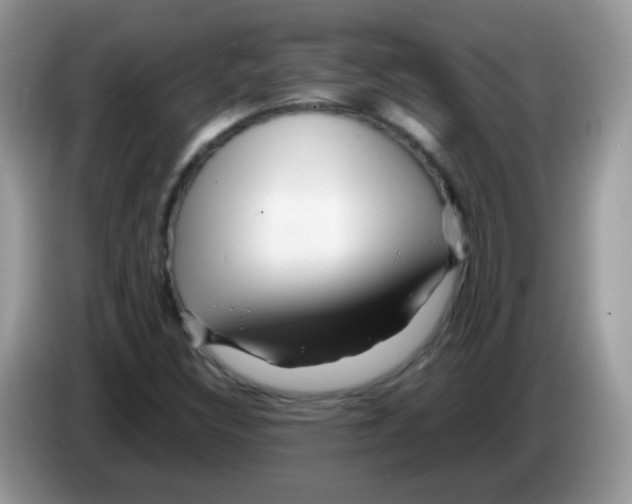 X0000086261308200704261948