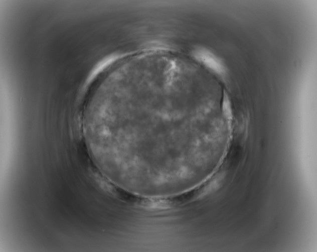 X0000086261310200704261948