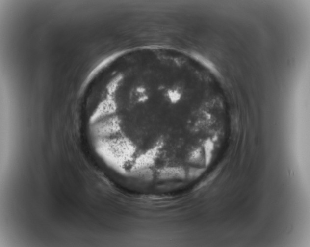 X0000086261311200704261948