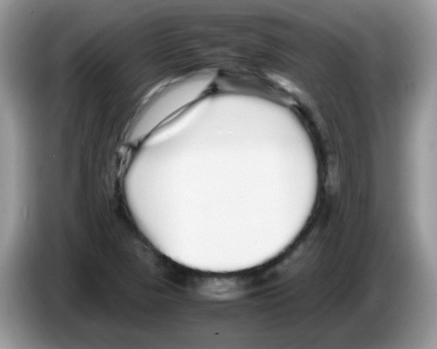 X0000086261313200704261948