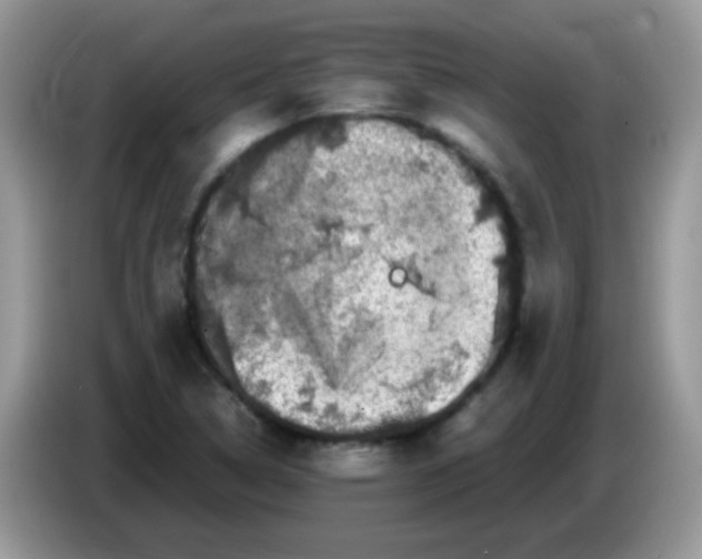 X0000086261314200704261948