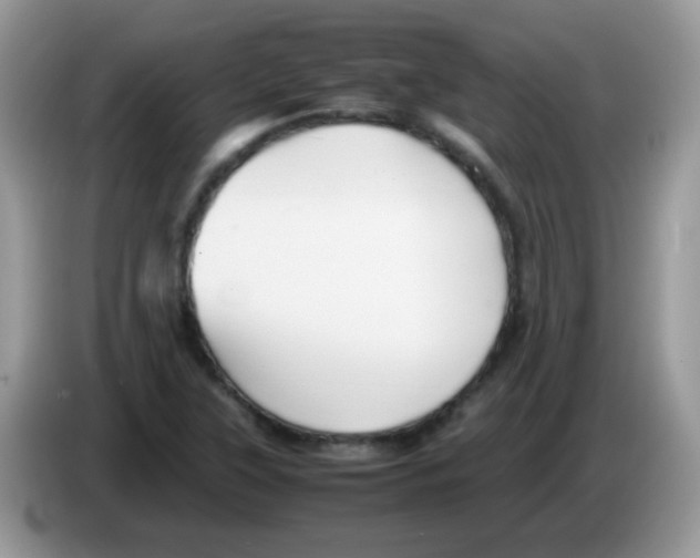 X0000086261315200704261948