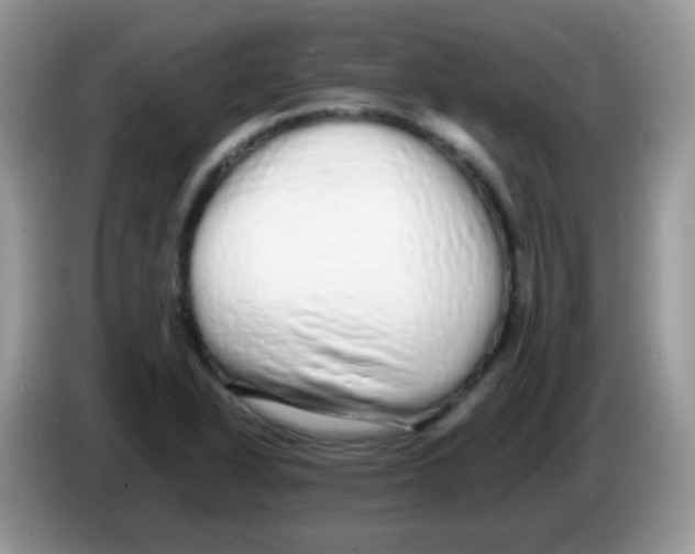 X0000086261318200704261948