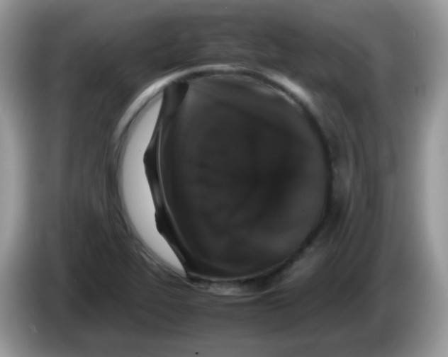 X0000086261319200704261948