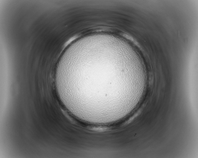 X0000086261321200704261948