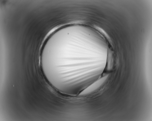 X0000086261324200704261948