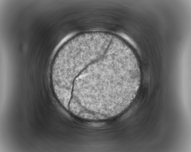 X0000086261325200704261948