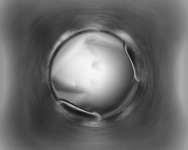 X0000086261326200704261948