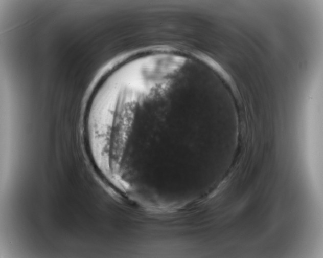 X0000086261327200704261948