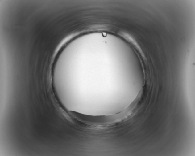 X0000086261328200704261948