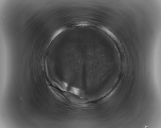X0000086261329200704261948