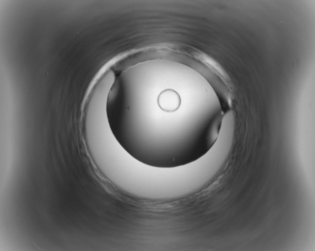 X0000086261332200704261948