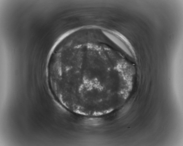 X0000086261335200704261948