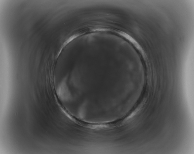 X0000086261337200704261948