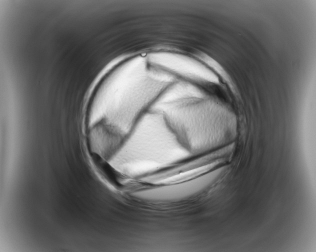 X0000086261339200704261948