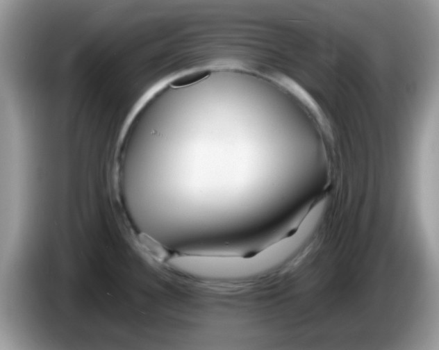 X0000086261340200704261948