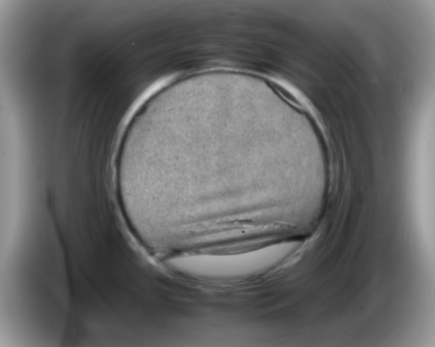 X0000086261341200704261948