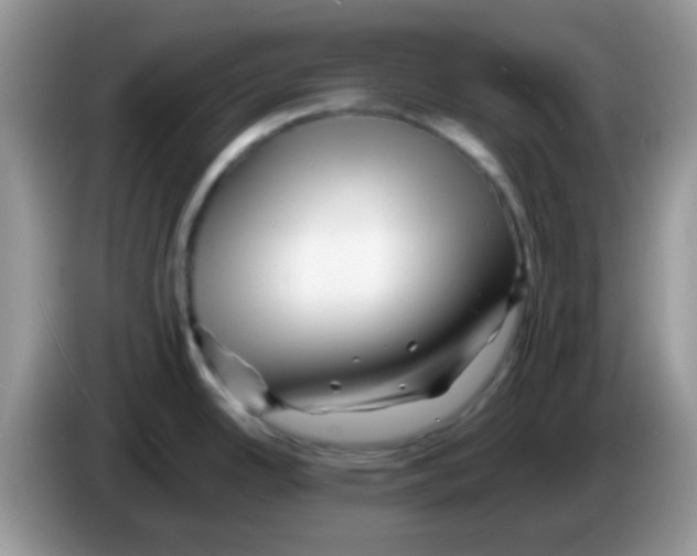 X0000086261342200704261948