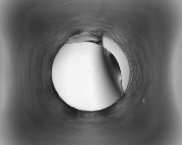 X0000086261345200704261948