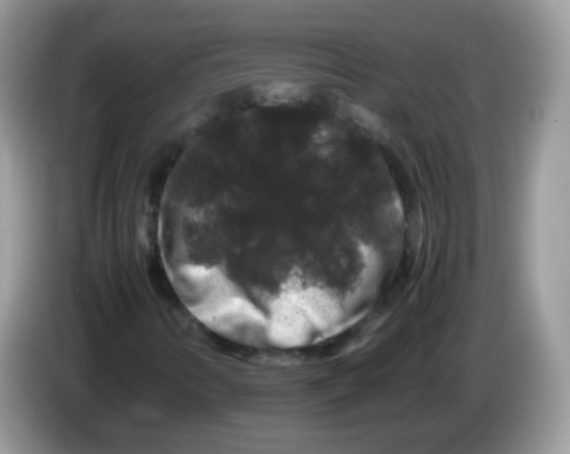 X0000086261346200704261948