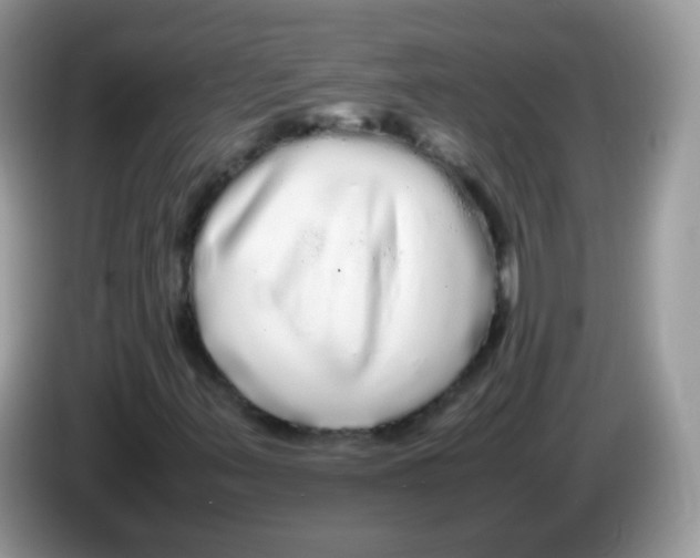 X0000086261347200704261947