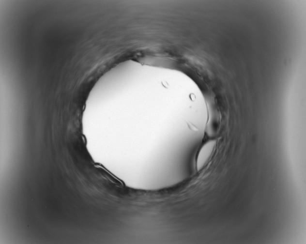 X0000086261349200704261947