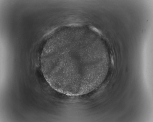 X0000086261350200704261947