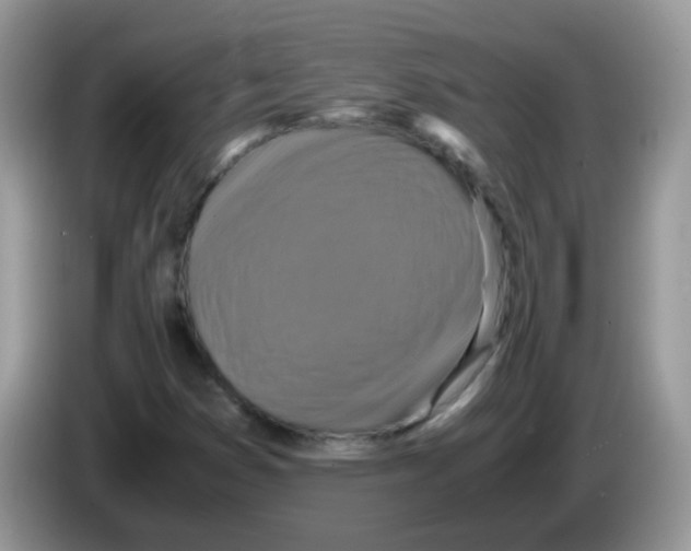 X0000086261353200704261947