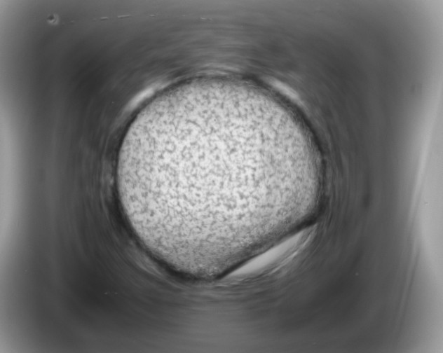 X0000086261355200704261947