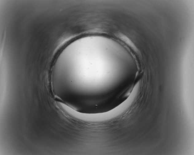 X0000086261356200704261947