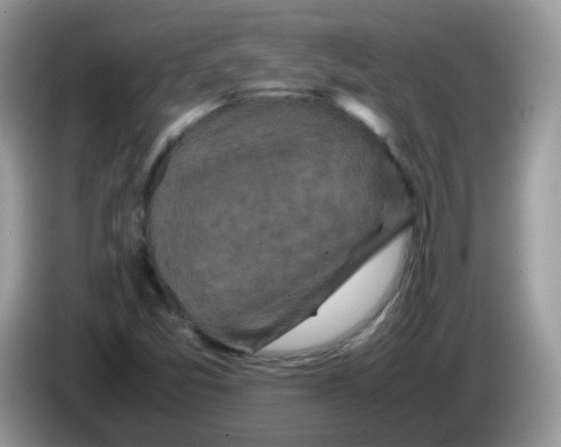 X0000086261357200704261947