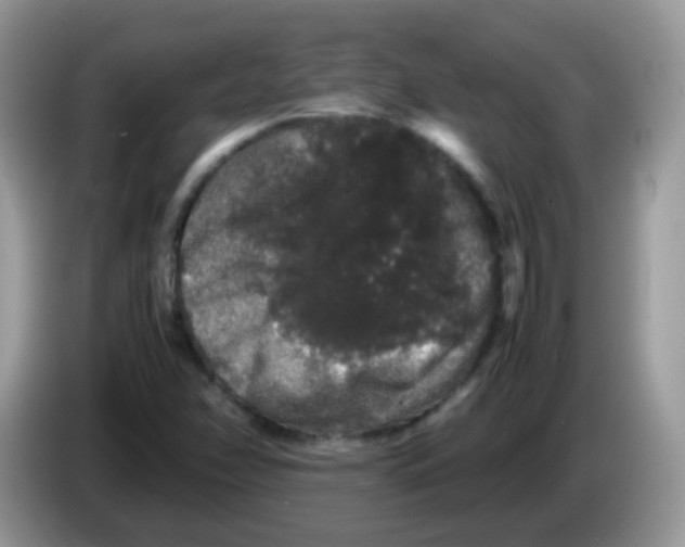 X0000086261358200704261947