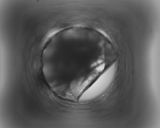 X0000086261359200704261947