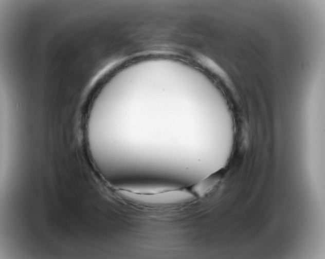 X0000086261360200704261947