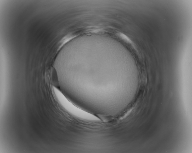 X0000086261361200704261947