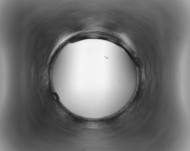 X0000086261364200704261947