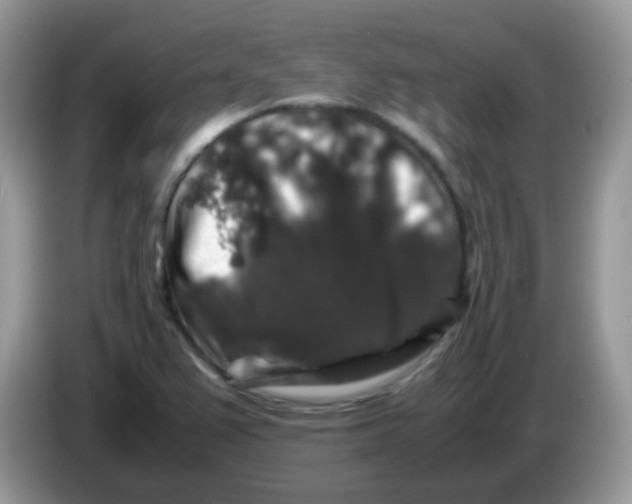 X0000086261367200704261947