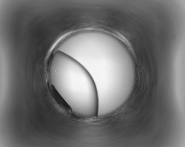 X0000086261368200704261947